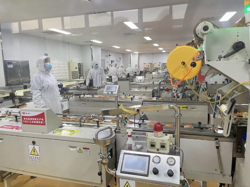 科技賦能 看晉江民營(yíng)企業(yè)如何向 新 求 質(zhì)