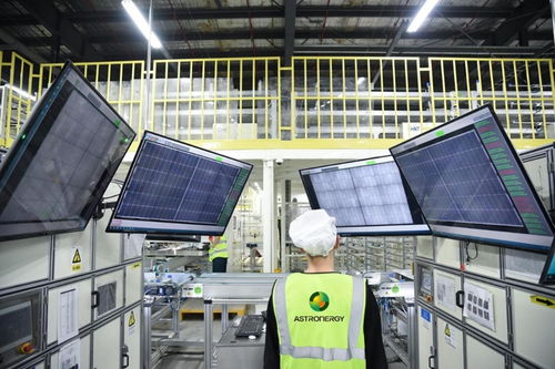 浙江 做優(yōu)光伏產業(yè) 引領綠色發(fā)展