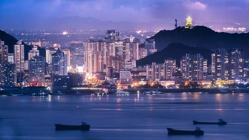 五問入企 五心服務 臺州港航走進船東協會，深化政企聯動